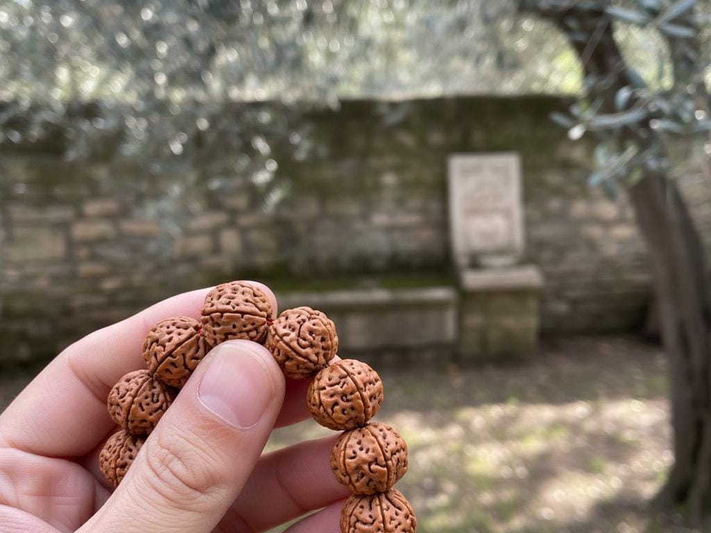 Close-up of a natural Rudraksha tespih held in a hand, showing detailed mukhi patterns with a tranquil Turkish garden backdrop.